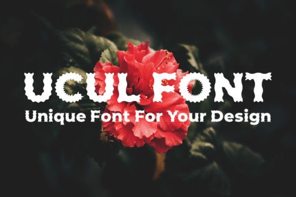 Why Ucul Became My Go-To Display Typeface for Quirky Branding